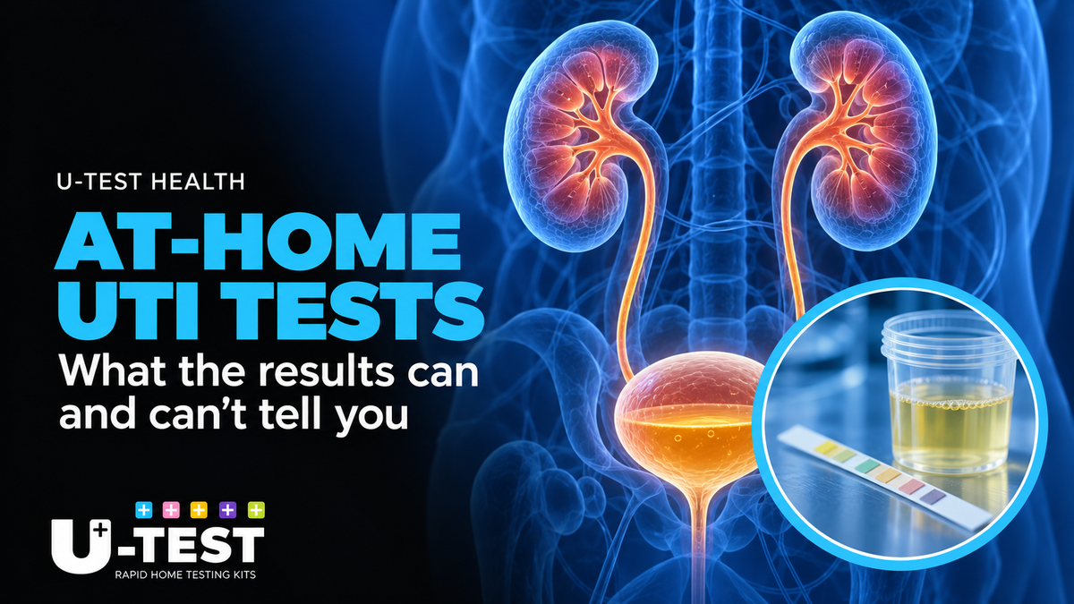 At-home UTI testing guide showing kidneys, bladder and a urine dipstick.