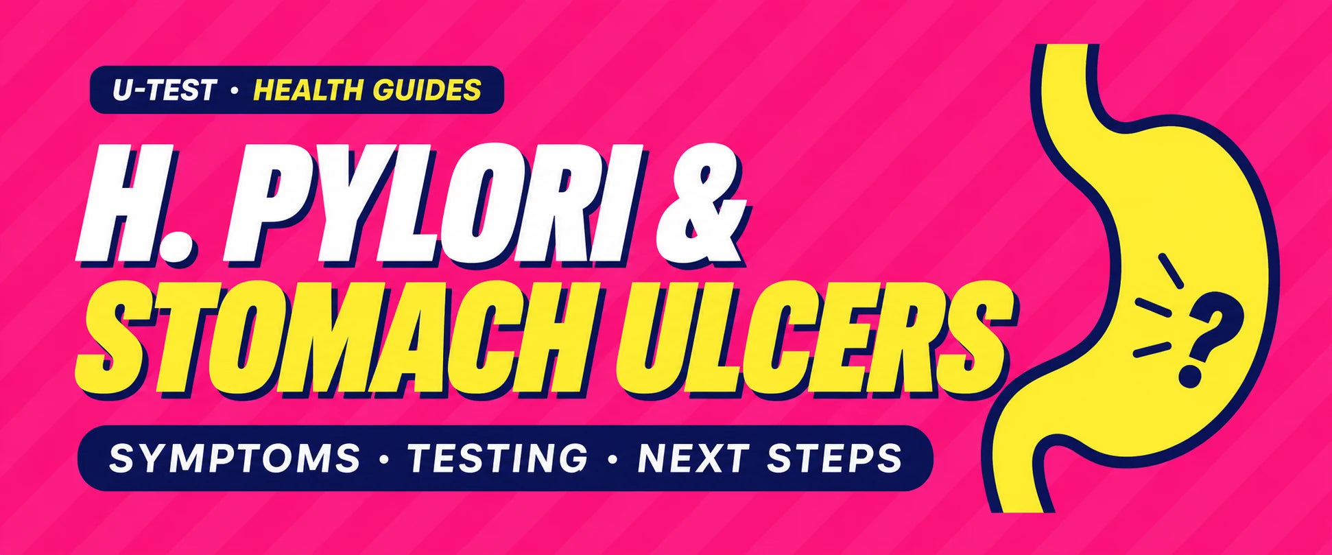 H. pylori and stomach ulcers — U-Test health guide