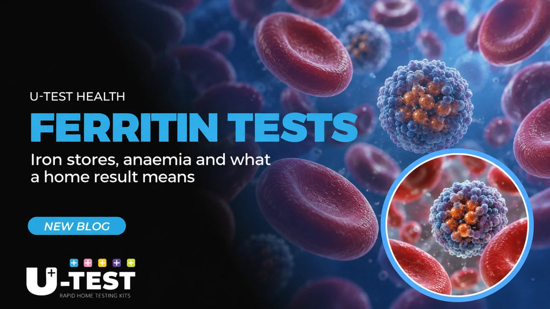 Ferritin tests: iron stores, anaemia and what a home result means