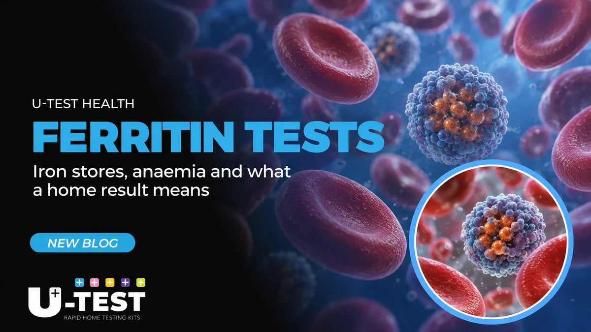 Ferritin tests: iron stores, anaemia and what a home result means