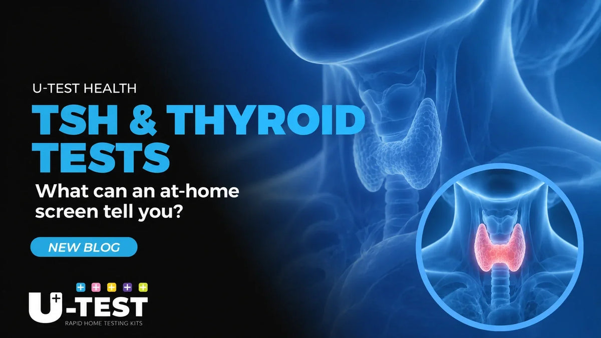 TSH and thyroid tests: what can an at-home screen tell you?