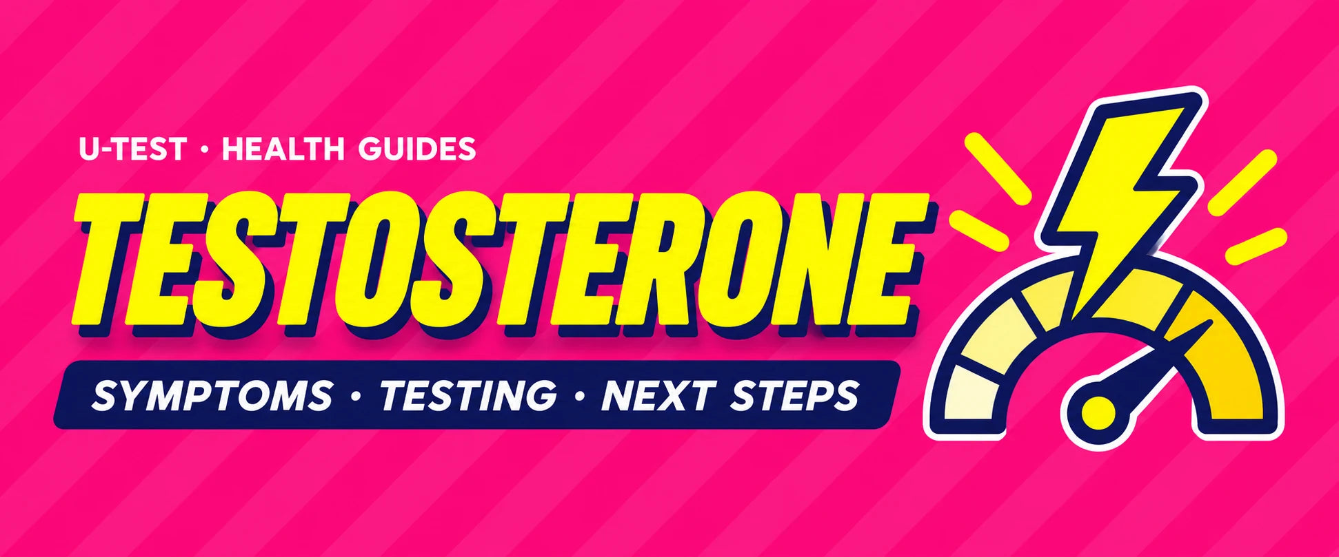 Testosterone — U-Test health guide