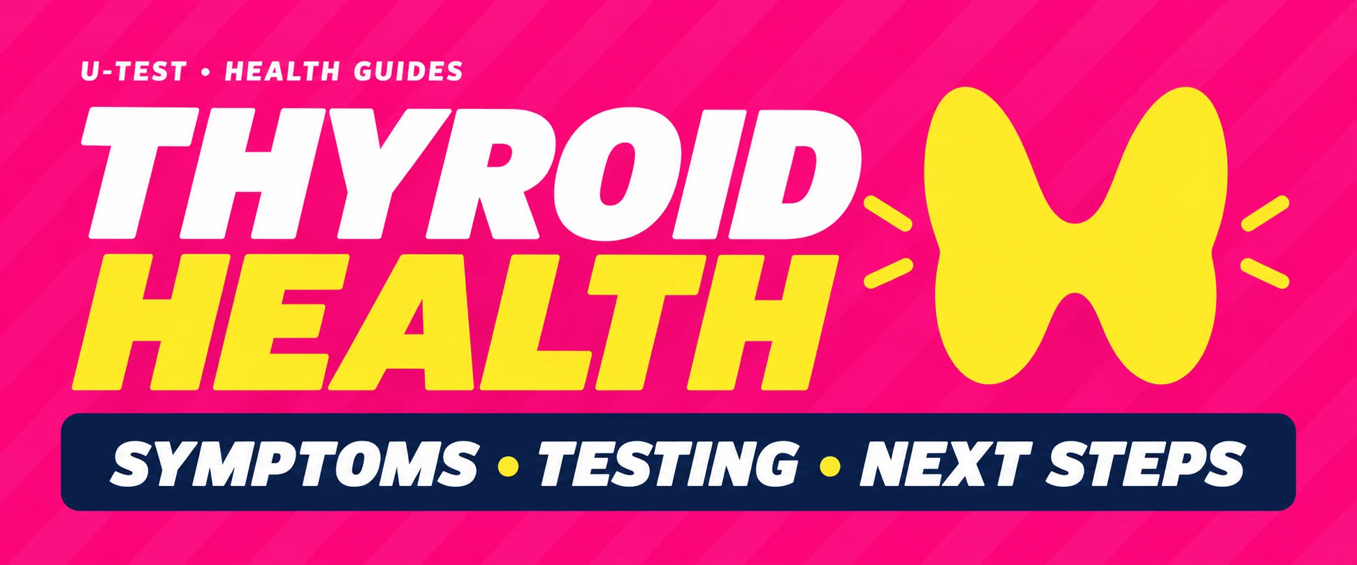 Thyroid — U-Test health guide