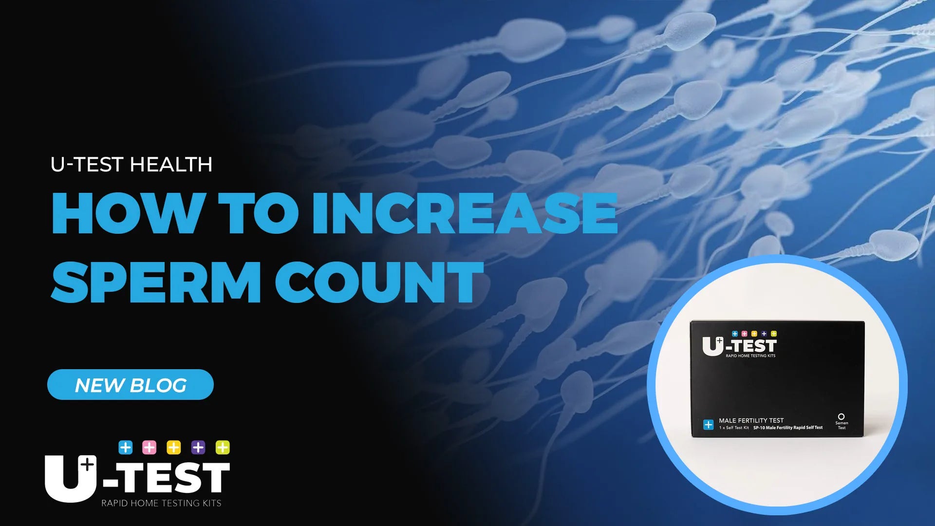 How to increase sperm count: U-Test Male Fertility Test Kit and sperm illustration